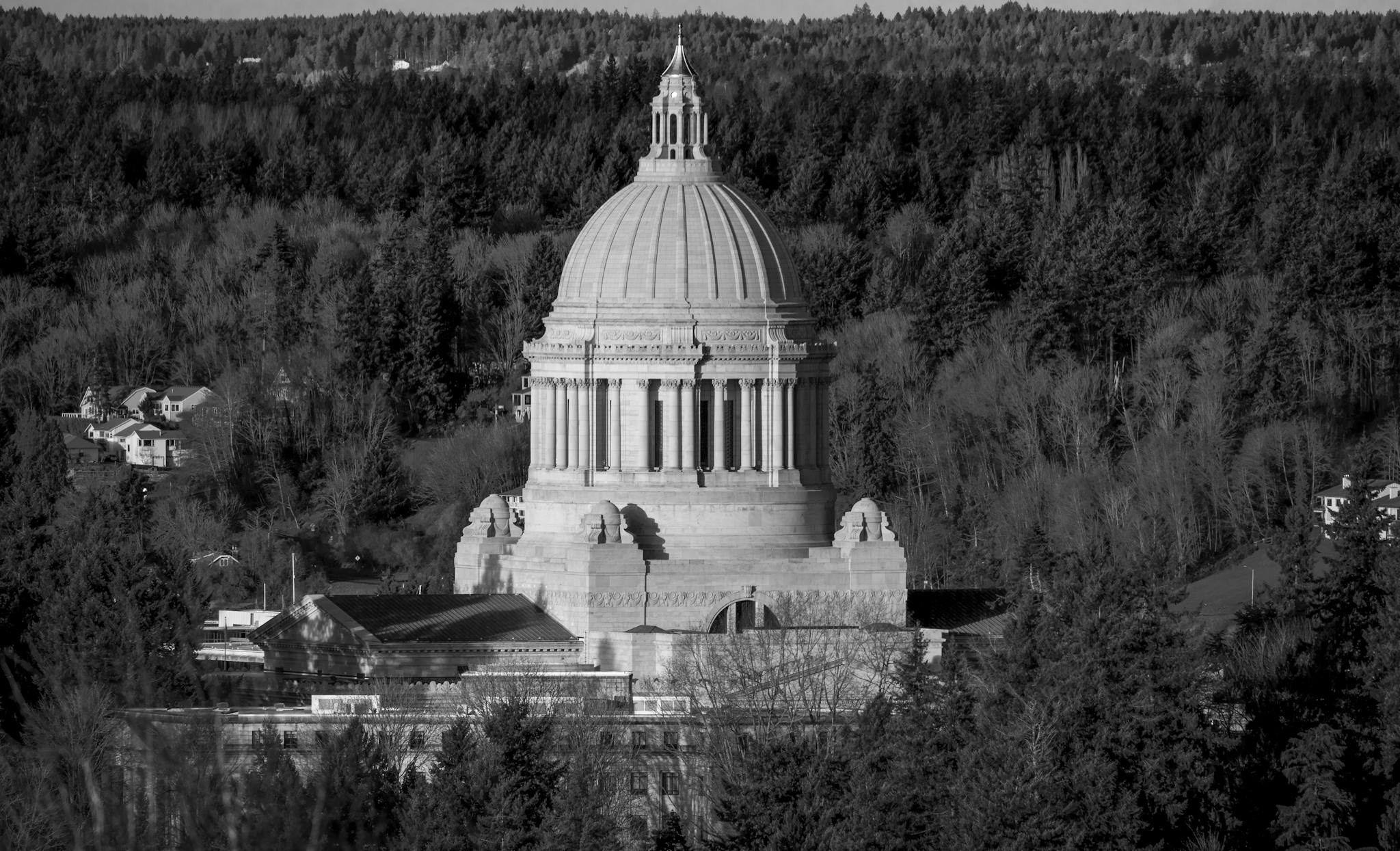 Elegant black and white photo of the Washington State Capitol dome surrounded by trees in Olympia.